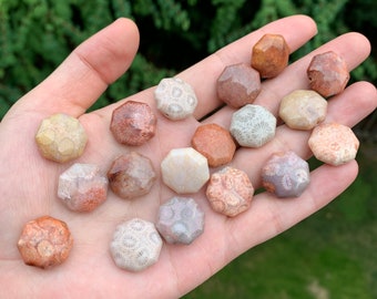 Fossil Coral Octagon Beads Wholesale - Craft Supplies  - Jewelry Making - Bracelet Making - Gemstone Beads