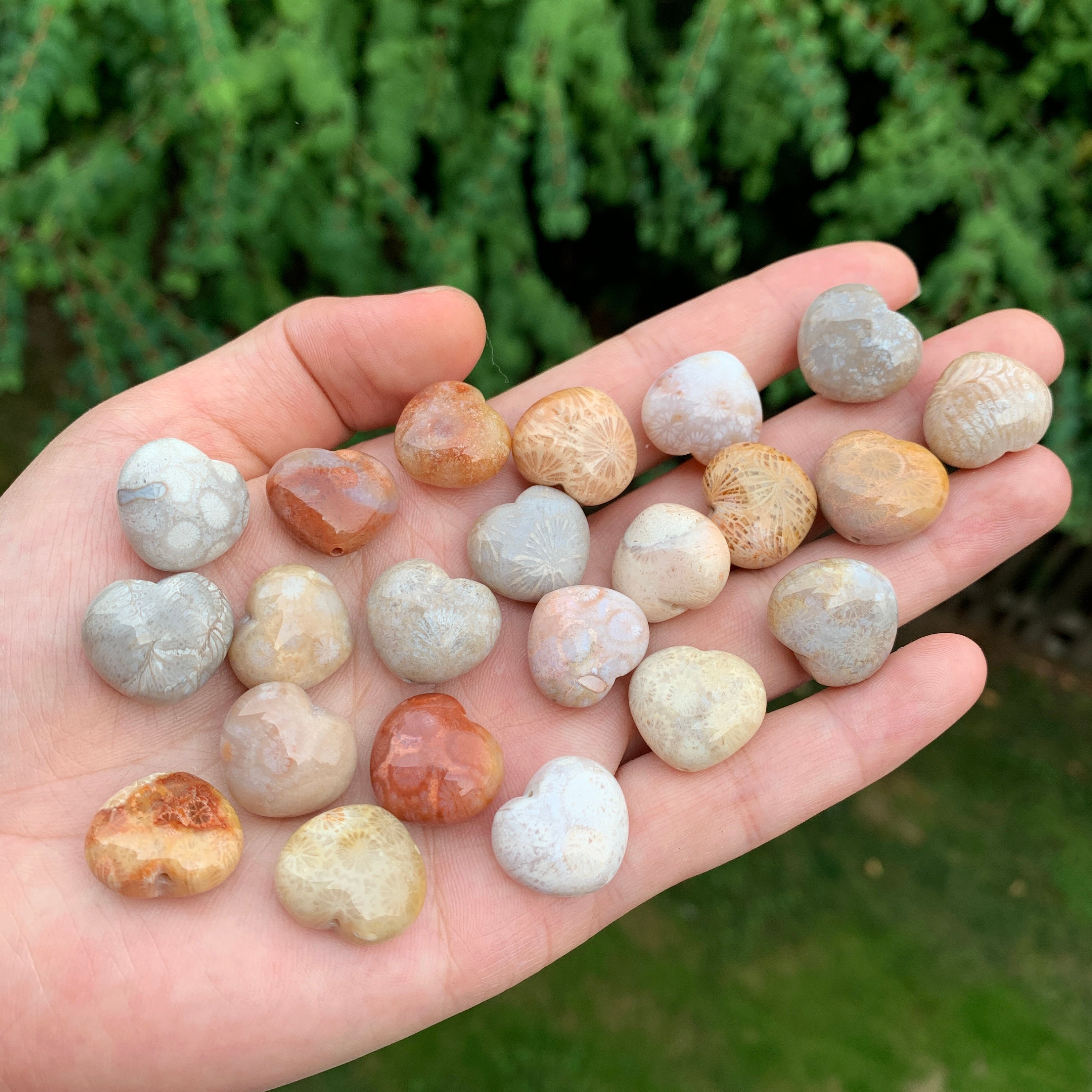 Fossil Coral Heart Beads Wholesale - Hand Craft Supplies  - Jewelry Making Supply - Bracelet Making Beads - Gemstone Beads