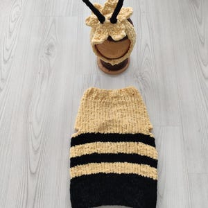 Charming Honeybee Pet Costume: Cozy Bumblebee Outfit