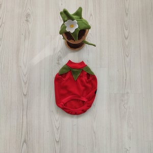 Strawberry Costume-Cat Lover Gift-Dog Birthday Costume-Racer Pet Costume-Birthday Special Gift for Pets-Racing Two Fast Pet Costumes image 5
