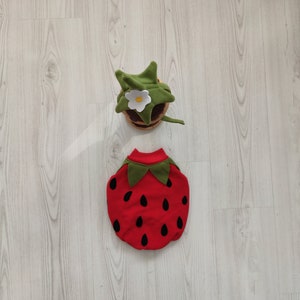 Strawberry Costume-Cat Lover Gift-Dog Birthday Costume-Racer Pet Costume-Birthday Special Gift for Pets-Racing Two Fast Pet Costumes image 1