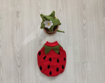 Strawberry Costume-Cat Lover Gift-Dog Birthday Costume-Racer Pet Costume-Birthday Special Gift for Pets-Racing Two Fast Pet Costumes-