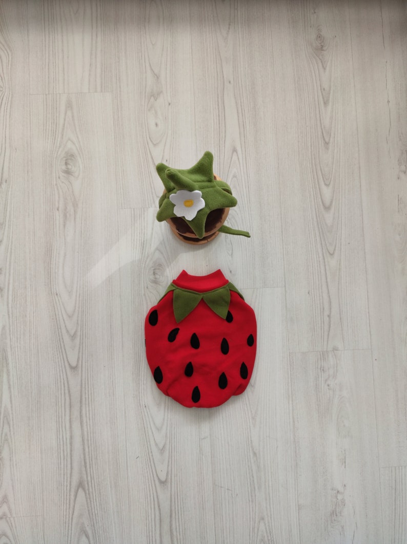 Strawberry Costume-Cat Lover Gift-Dog Birthday Costume-Racer Pet Costume-Birthday Special Gift for Pets-Racing Two Fast Pet Costumes image 1