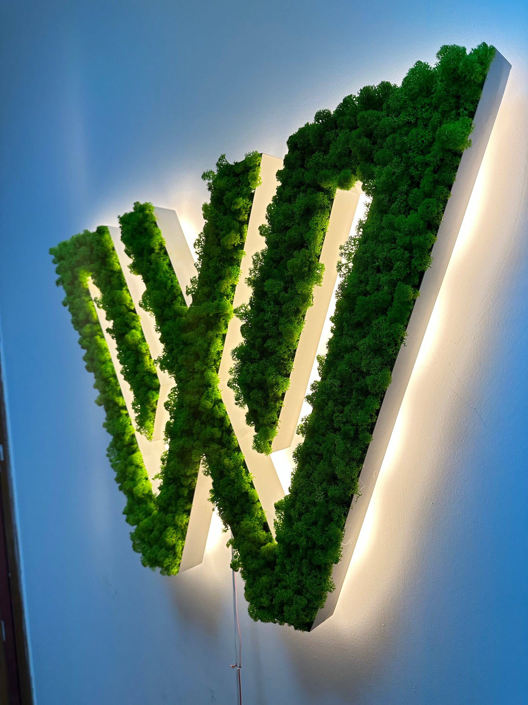 Backlit Moss Logo Sign, 3D Letter Box, Natural Office Wall Decor ...