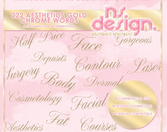 222 Gold Script Chrome 3D Aesthetic Practitioner Words, Gold Script Chrome, Chrome Words, PNG Words, Gold Chrome Clipart, Aesthetics