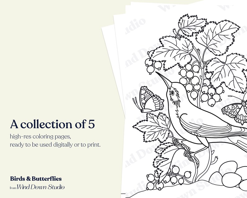 Digital Coloring Page Procreate - Il 794xN.4154996236 Jb58 