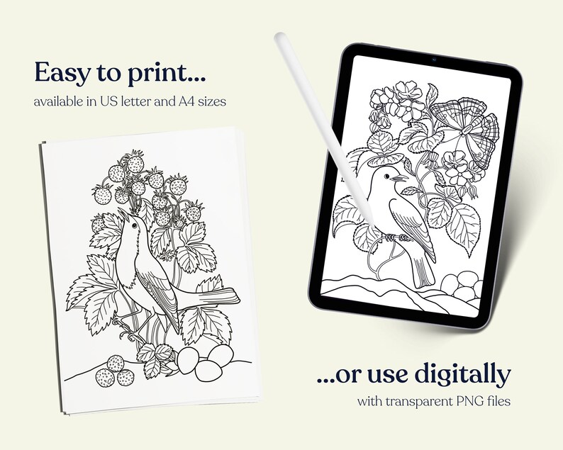 Digital Coloring Page Procreate - Il 794xN.4154726488 Bpt1 