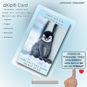 Polarwunder-Babys Kollektion – Nachhaltige Grußkarten mit niedlichen Arktis-Tiermotiven – Perfekt als Geschenk, Dekoration oder Sammelobjekt