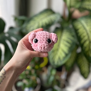 May include: A pink crocheted pig with black eyes. The pig is being held in a hand.