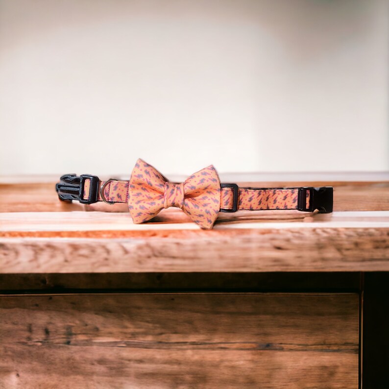 Orange dog collar with bow image 2