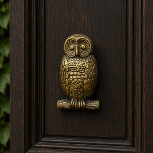 May include: A brass-colored metal door knocker shaped like an owl perched on a branch. The owl features detailed feather textures and circular eyes, mounted centrally on a dark brown wooden door panel with vertical recessed molding details.