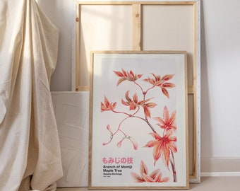 May include: A framed botanical illustration of a branch of Momiji Maple Tree with red leaves and seed pods. The text "もみじの枝 Branch of Momiji Maple Tree Megumi Nakaya" is printed below the image.