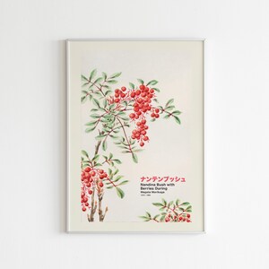 Megata Morikaga Nandina Bush-tentoonstellingsafdruk | Digitale afdruk | Japanse kunstafdruk | Digitale download | Afdrukbare muurkunst | Moderne kunst