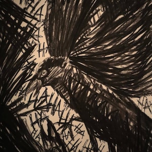 lilo_umano - Charcoal drawing &quot;CORVUS PARENTES&quot;