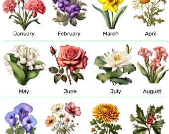 Birth Flower Clipart Bundle Colorful PNG Illustrations for Mugs, Shirts, Gifts & DIY Projects, Monthly Floral Designs Transparent Background