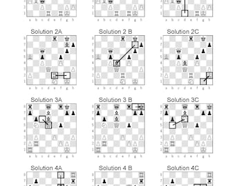 Best Chess Problems/Puzzles – flyga natten
