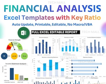 Financial Analysis Excel Templates with Key Ratio (Auto Update, Printable, Editable, No Macro/VBA)