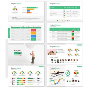 May include: A project management dashboard with green and red gauges, tables, and charts. The dashboard includes sections for project issues, changes, status, and team. The dashboard also includes a photo of a baby holding a balloon.