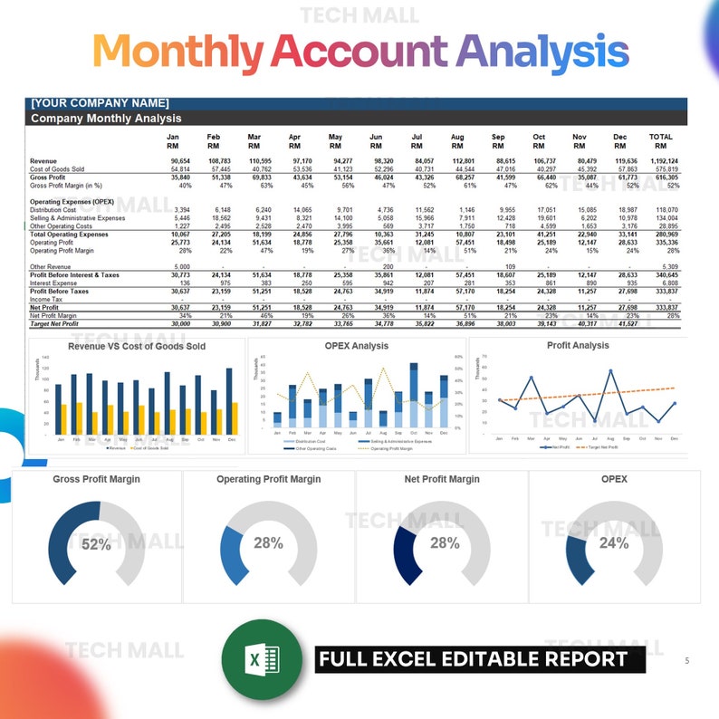 Financial Analysis Excel Templates With Key Ratio (auto Update ...