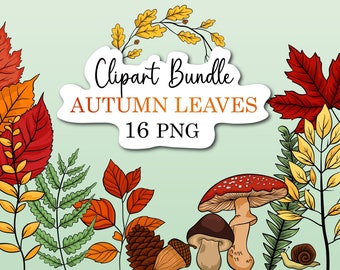 Autumn leaves Clipart ,Autumn Leaves Clipart Collection Fall Foliage Digital Art for Crafts and Decor,