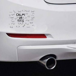 Sarcastic Car Bumper Sticker Car Vinyl Decal Funny Bumper Stickers Novelty Glossy Sticker Hilarious Van Calm Your T*ts Rude Crude Decals