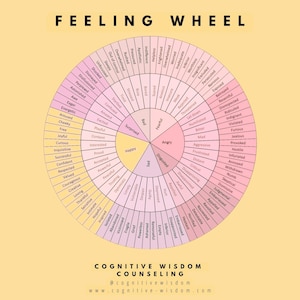 May include: A pink and yellow wheel with the words "Feeling Wheel" at the top. The wheel is divided into sections, each with a different emotion word. The emotions are arranged in a circle, with "Happy" at the top and "Angry" at the bottom. The wheel is surrounded by a yellow background.