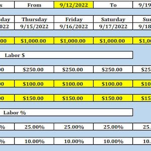 Excel Template Weekly Sales Labor & Food Report