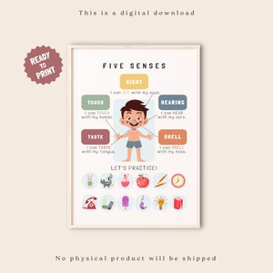 Five Senses Poster, Montessori Homeschool ,Educational Poster For Kids, Preschool Classroom Decor, Toddlers, Printable Wall Art