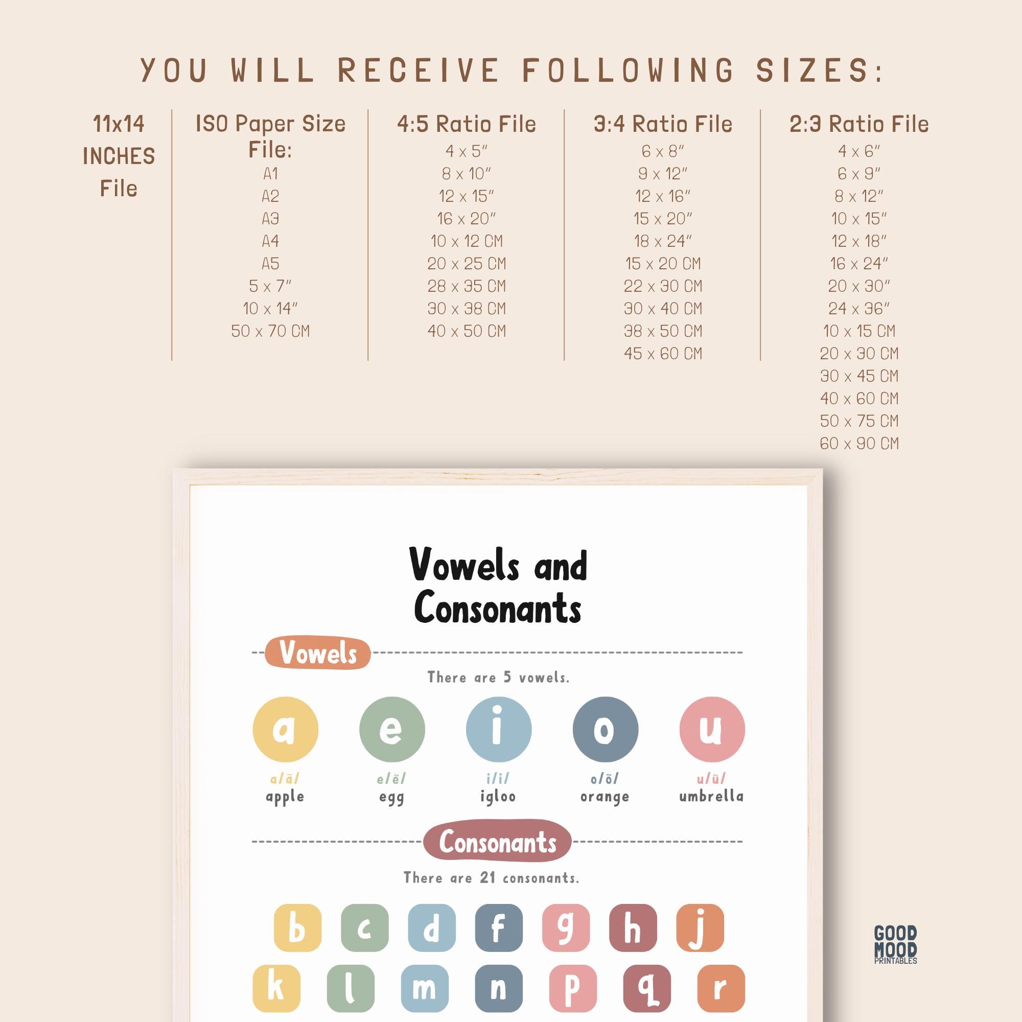 Vowels and Consonants Chart, Phonics Poster, Classroom Alphabet Poster ...