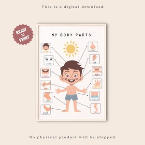 Minhas partes do corpo, pôster educacional, arte de parede para impressão, pôster de anatomia, anatomia para crianças, decoração de sala de aula pré-escolar, pôster de partes do corpo