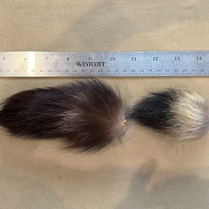 Lot of Genuine Raccoon Fur Tails image 2