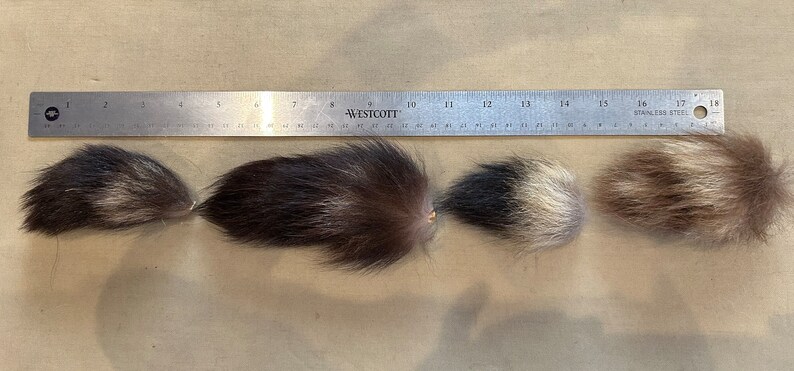 Lot of Genuine Raccoon Fur Tails image 2