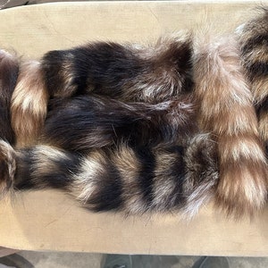 Lot of Genuine Raccoon Fur Tails image 1