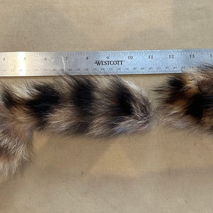 Lot of Genuine Raccoon Fur Tails image 3