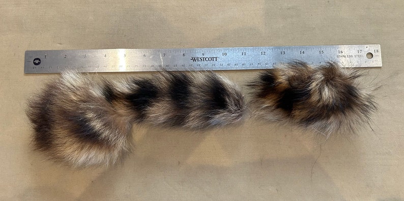 Lot of Genuine Raccoon Fur Tails image 3