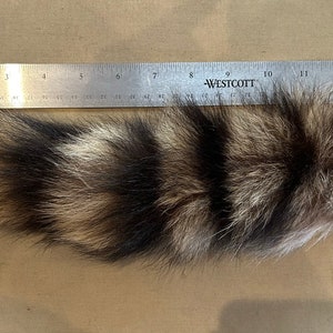 Lot of Genuine Raccoon Fur Tails image 7