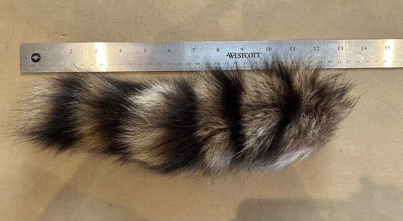 Lot of Genuine Raccoon Fur Tails image 7