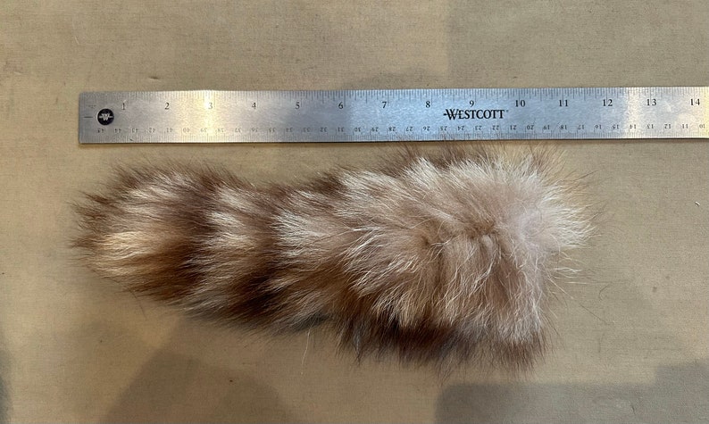 Lot of Genuine Raccoon Fur Tails image 5