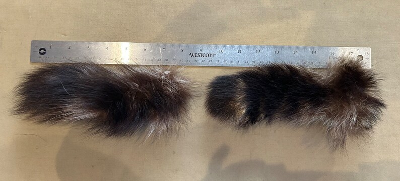 Lot of Genuine Raccoon Fur Tails image 4