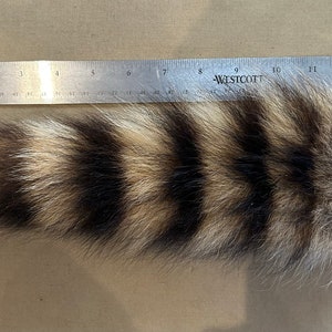 Lot of Genuine Raccoon Fur Tails image 6