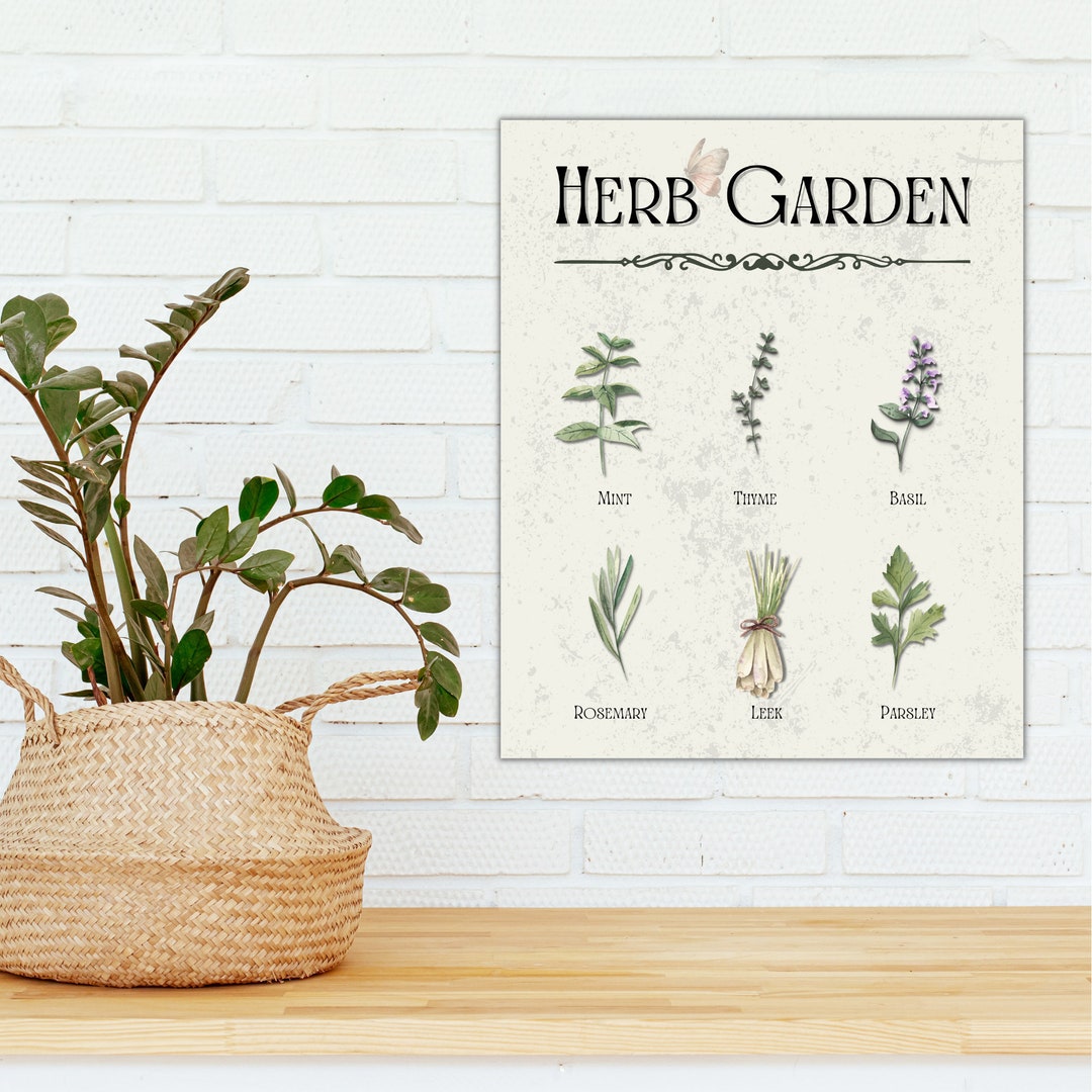Winners Garden Herb Illustration Panels
