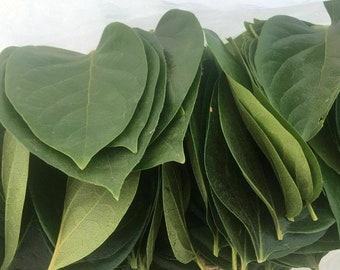 25 KAKI feuilles - The - Tisane - plante médicinales