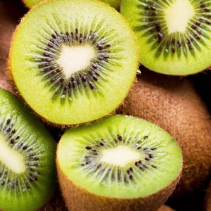 25 KIWI Seeds - Fruit Trees - Exotic Fruit - Fruits