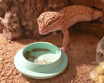 Escape Proof Mealworm and Calci dish Combo