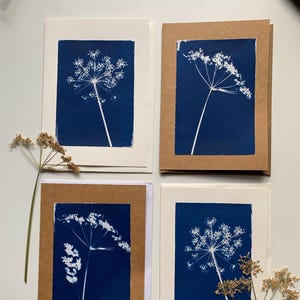 Tarjetas de felicitación en blanco impresas con cianotipo de perejil silvestre, flores silvestres, obsequios botánicos, tarjetas de naturaleza, cualquier ocasión, obsequios para amantes de la naturaleza