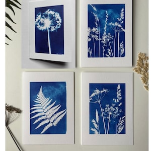 May include: A set of four rectangular greeting cards featuring white botanical silhouettes against a deep blue background. The designs include a dandelion seed head, a fern frond, and two cards displaying various wild grasses and meadow flowers.