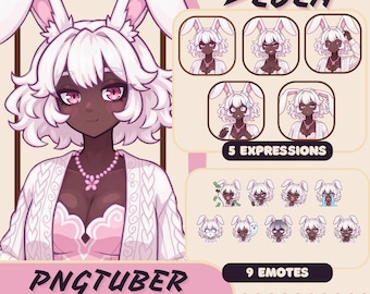 Lola PNGTuber Avatar – Premade Streaming Character for Twitch & Discord