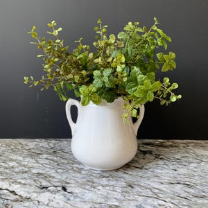 May include: A white ceramic pitcher with two handles, filled with green and light green leafy plants. The pitcher sits on a marble surface against a dark background. The plants have a variety of textures and shades of green.