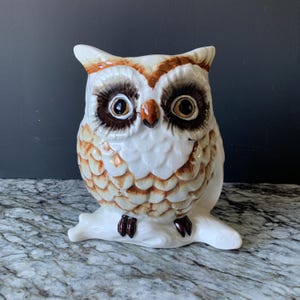 May include: A ceramic owl figurine with a white body, brown and tan accents, and large, expressive eyes. The owl is perched on a white branch, showcasing a detailed, hand-painted design. This decorative owl adds a touch of nature-inspired charm.