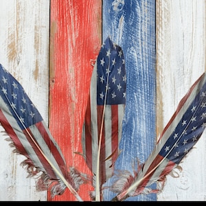 May include: Three feathers painted with the American flag colors, red, white, and blue, against a wood background.